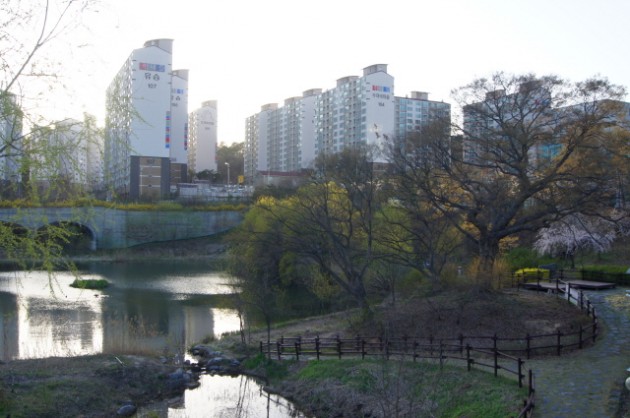 고성원흥이방죽 봄.JPG